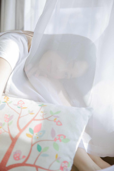 狃花女电视剧免费全集